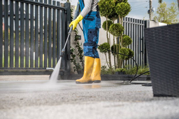 Best Affordable Pressure Washing  in Clawson, MI